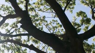 Beat the Heat_ Why Cotton is Your Best Friend
