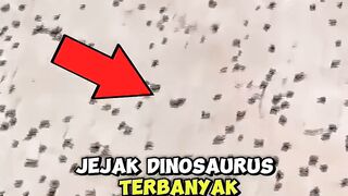 inilah jejak-jejak dinosaurus terbanyak yg pernah ditemukan di dunia #dinosaurus #faktamenarik