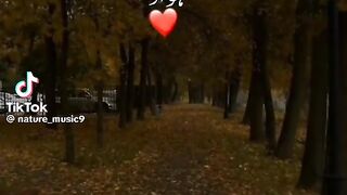 Beautiful Song 148