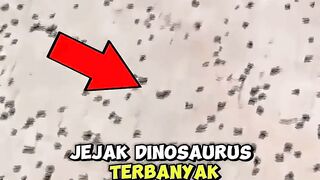 inilah jejak-jejak dinosaurus terbanyak yg pernah ditemukan di dunia #dinosaurus #faktamenarik 2