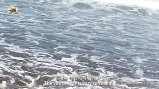 Chatting leisurely by the beaches of Morocco, breathing in the scent of the waves.2