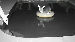 Home Security Camera