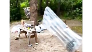 Funny videos