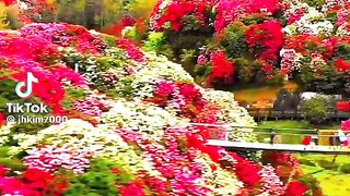 Beautiful scenery 37