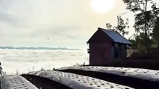 Karena terlalu banyak tempat yang indah di sumbar, tempat secantik ini hanya di jadikan kebun..!