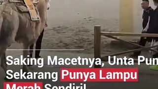 UNIKKK !!! UNTA SEKARANG PUNYA LAMPU MERAH SENDIRI