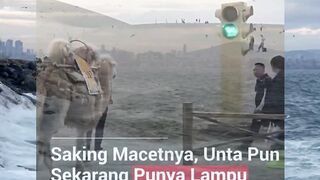 MESINGG 215