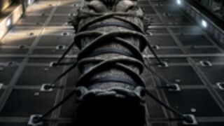 The Mummy