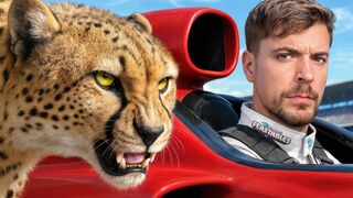 Words Fastest Car Vs Cheetah!