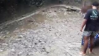 Ikan lele KUNTET lambat tumbuh bisa cepat besar❗Dengan cara ini