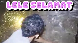 Dengan alat ini panen cepat lele selamat