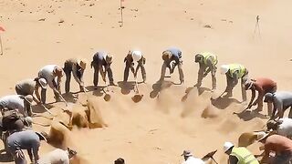 Desert 7
