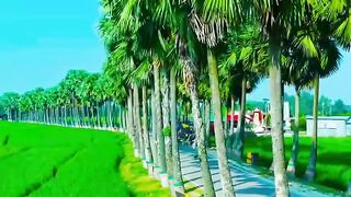 LOOK AT THE BEAUTIFUL NATURE