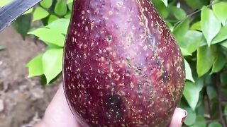 Red Avocado.