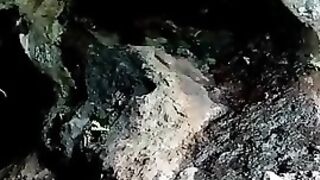 asli atau palsu nih