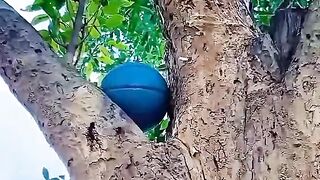 Funny video chat 6