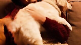 “these little paws are afraid of losing you… ????????”