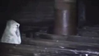 penampakan di  gereja terbengkalai