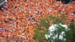 Belanda di Piala  Dunia 2026