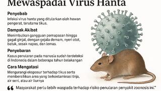 Mewaspadai Virus Hanta