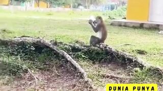 SYOK KACA SPION DI PARKIRAN HILANG TAPI  LEBIH SYOK  LAGI LIHAT PELAKUNYA