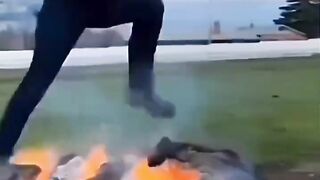 Funny videos
