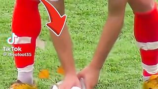 soccer match dog incident argentina