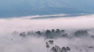 Subhanallah 25