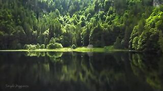 4K Drone Footage - Bird's Eye View of Germany, Europe - Relaxation Film with Calming Music (360p)