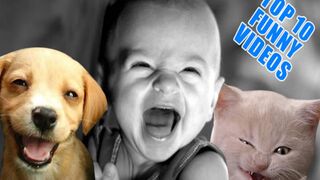 top 10 funny videos