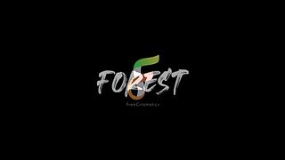 Forest_videos_with_ambient and calm music