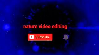 Beuatifull_nature_animation