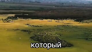 Как этот парень очистил озеро!.