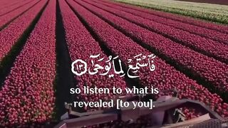 Tilawat Quran Majeed Quran Pak