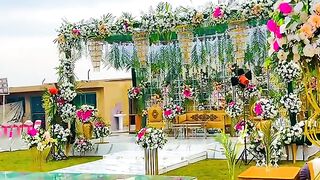Beautiful nice home and place