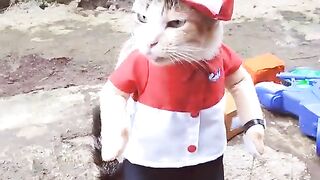 Cute animals make happy part 6