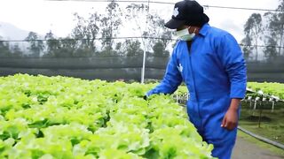Agriculture