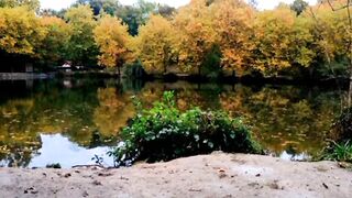Meditation video with nature ll Meditation Music ll Relaxed Music ll