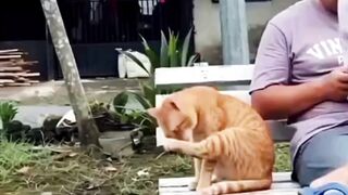 bisa aja nih oyen???? - Tigerasia88