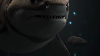 Did you know the most dangerous place to be a shark is inside their mother?