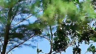 Bilaku menyendiri inginya ku menjerit ???? #badaiberlalu #dedydores #nostalgia #cover