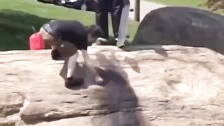 Follow (us) to learn