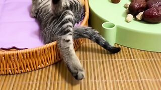 how to sleep????