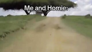 WRC Hyundai Flight