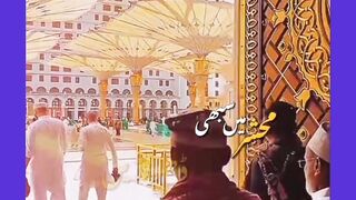 Beautiful short's video Fesport video
