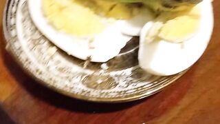 A month old budgie eats an egg