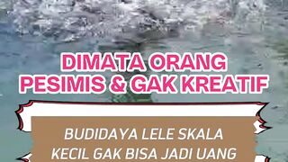 Siapa bilang budidaya lele skala sedikit gak bisa jadi UANG