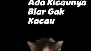 #viral  #jangkauanluas