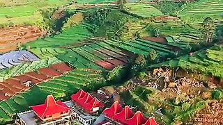 Suasana pagi di pegunungan,, . Loc. Resort Pintu Langit Kab. Wonosobo
