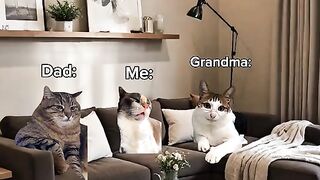 when I ask dad for money